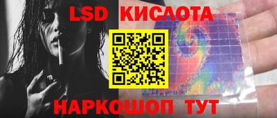spice Камышлов