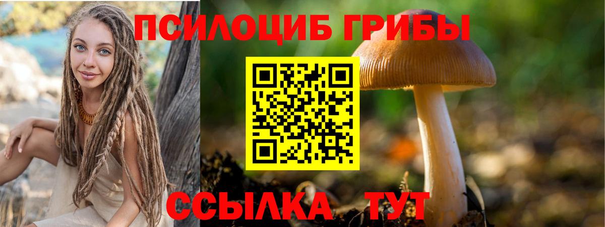 Крымск  Псилоцибиновые грибы Magic Shrooms  где найти   Вход с VPN 